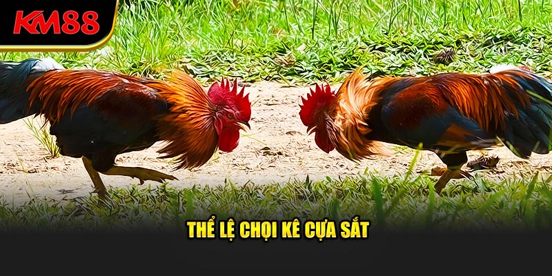 Thể lệ chọi kê cựa sắt